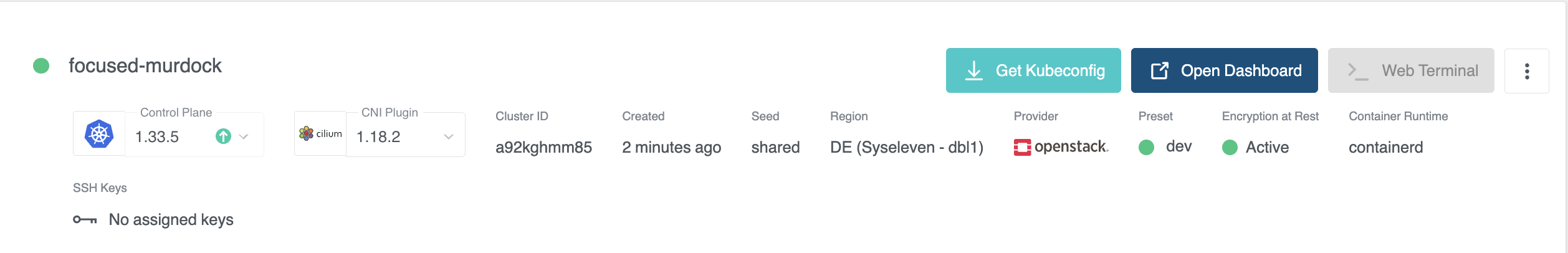 Encryption Status: Active